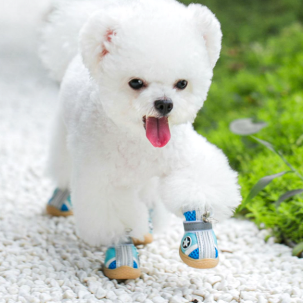 퍼플펫 강아지 신발 부츠 장화 레인부츠 애견 별슈즈