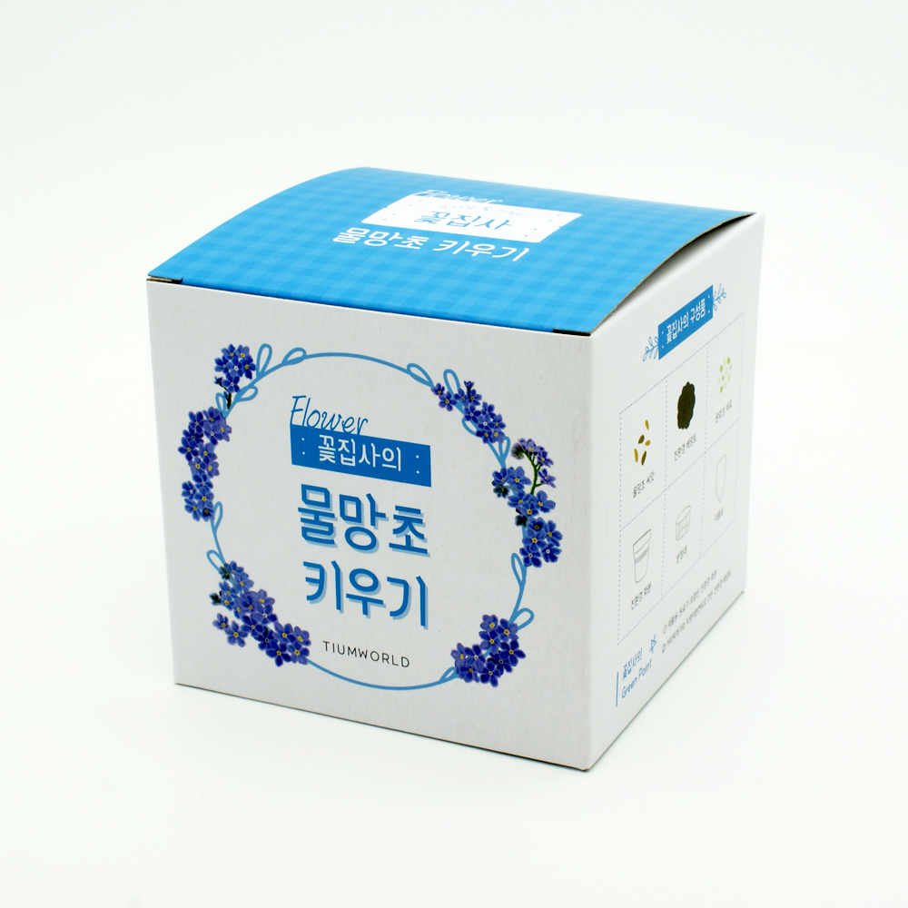 꽃집사 물망초 키우기 미니화분 홈가드닝 씨앗 꽃 기르기 화분 세트 - 메인 이미지