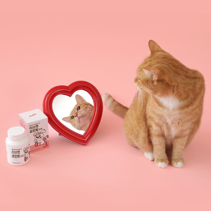 리브펫 조인트 고양이 강아지 관절 영양제 60g, 1개