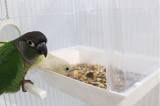 thumbnail-7