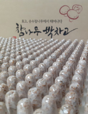 장인 표고 버섯 종균 키트 재배 1판 (606구)