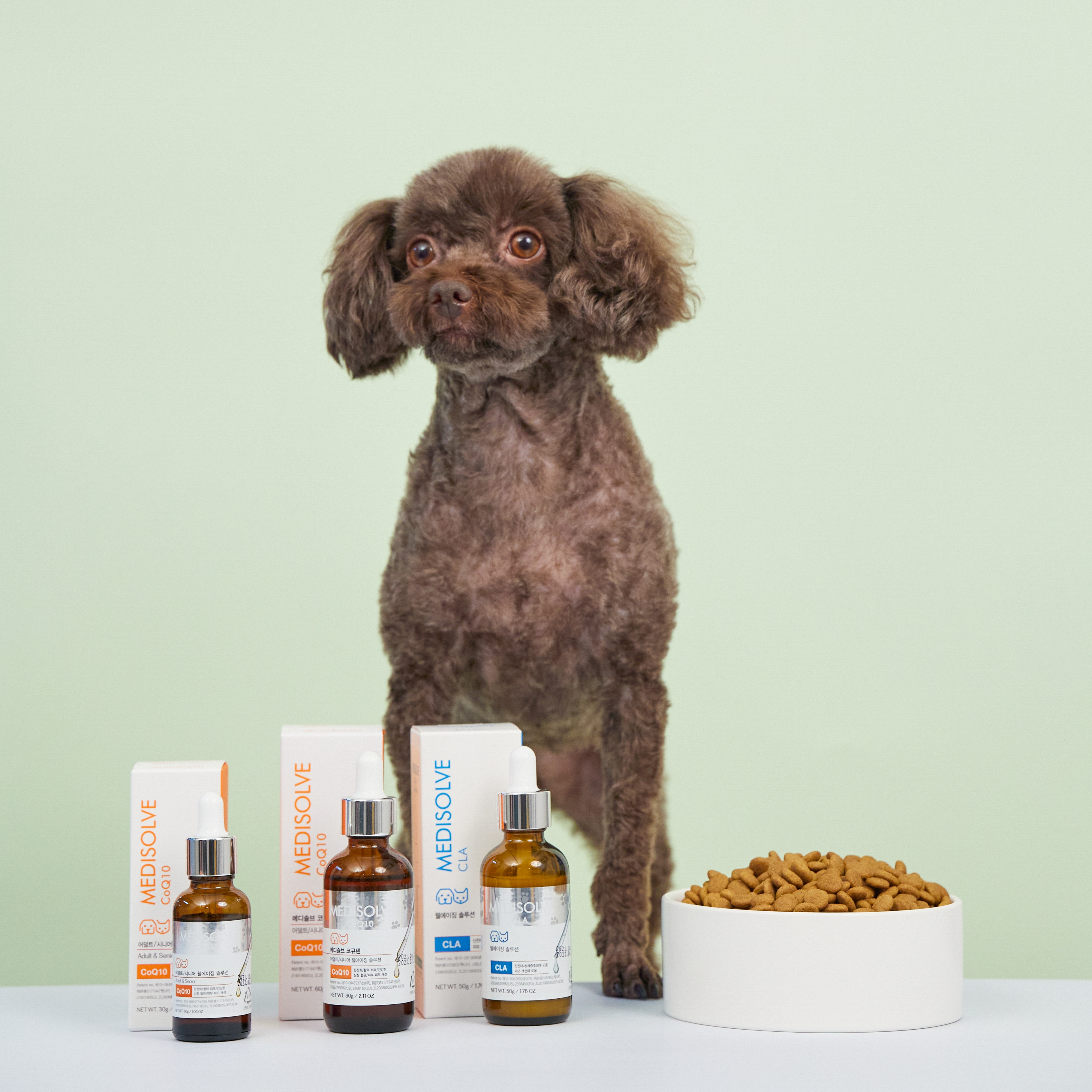 메디솔브 코큐텐(60g) 1개+씨엘에이(50g) 3개 세트 강아지 고양이 영양제 액상 - 상세 이미지 3