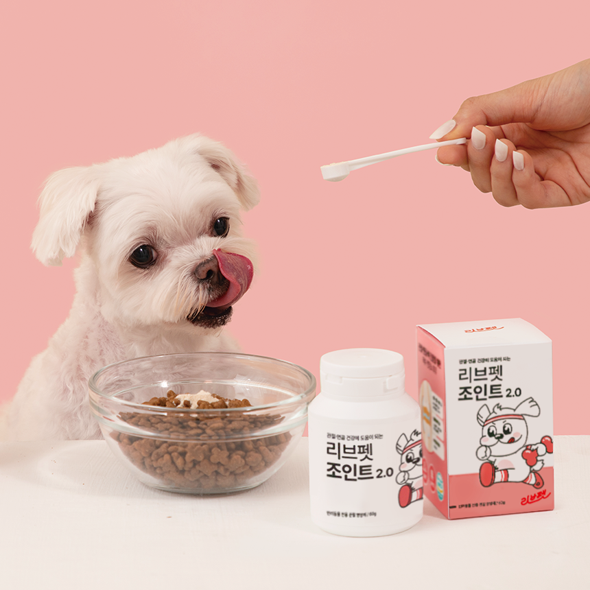 리브펫 조인트 고양이 강아지 관절 영양제 60g, 1개