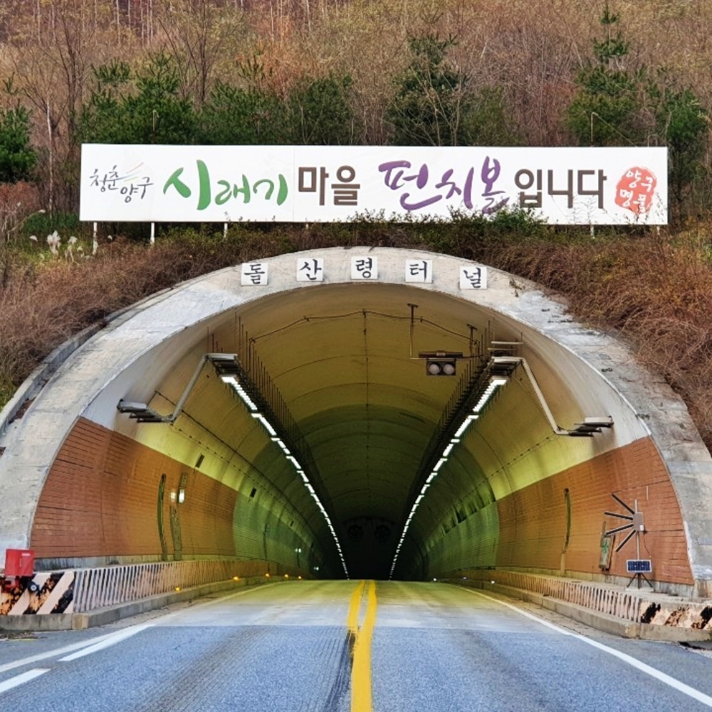 펀치볼 양구시래기 삶은 무청 시래기 200gX5팩 - 상세 이미지 2