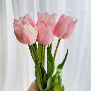 튤립 생화 꽃 다발 1송이 5송이 택배 배달 싼곳 양재꽃시장 꽃선물 솔직 후기 | 실사용자 리뷰 분석 - 상품 이미지 1