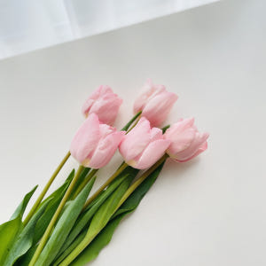 튤립 생화 꽃 다발 1송이 5송이 택배 배달 싼곳 양재꽃시장 꽃선물 솔직 후기 | 실사용자 리뷰 분석 - 상품 이미지 2