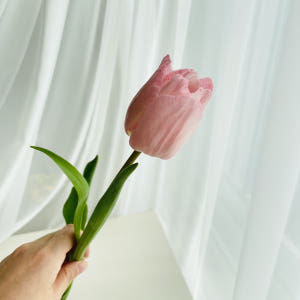 튤립 생화 꽃 다발 1송이 5송이 택배 배달 싼곳 양재꽃시장 꽃선물 솔직 후기 | 실사용자 리뷰 분석 - 상품 이미지 4