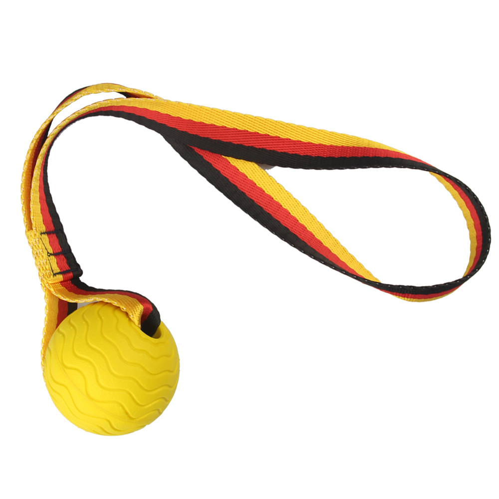 와일드독 EVA 소프트 폼볼 로프 M 소형견 중형견 대형견 강아지장난감 터그