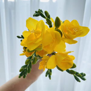 후리지아 프리지아 10줄기 꽃 배달 싼곳 생화 기념일 꽃다발 선물 봄 노... 솔직 후기 | 실사용자 리뷰 분석 - 상품 이미지 3