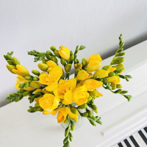 후리지아 프리지아 10줄기 꽃 배달 싼곳 생화 기념일 꽃다발 선물 봄 노... 솔직 후기 | 실사용자 리뷰 분석 - 상품 이미지 2