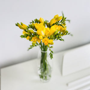 후리지아 프리지아 10줄기 꽃 배달 싼곳 생화 기념일 꽃다발 선물 봄 노... 솔직 후기 | 실사용자 리뷰 분석 - 상품 이미지 4