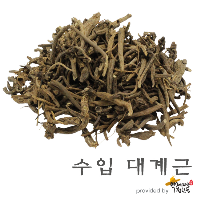 수입 대계근 600g, 엉겅퀴뿌리 - 상품 이미지