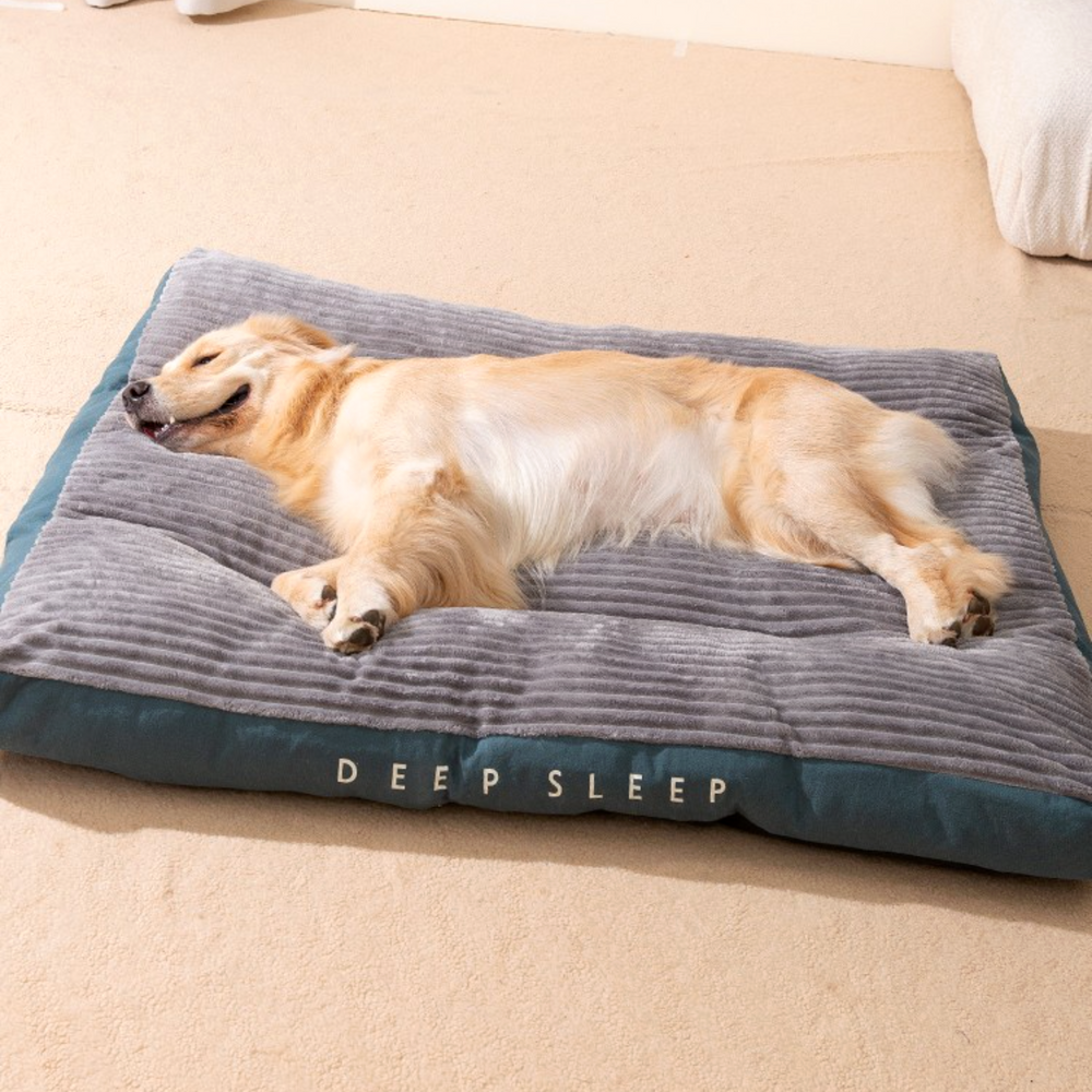 퍼플펫 강아지 방석 고양이 마약 방석 대형견 쿠션 폭신한 딥슬립 중형