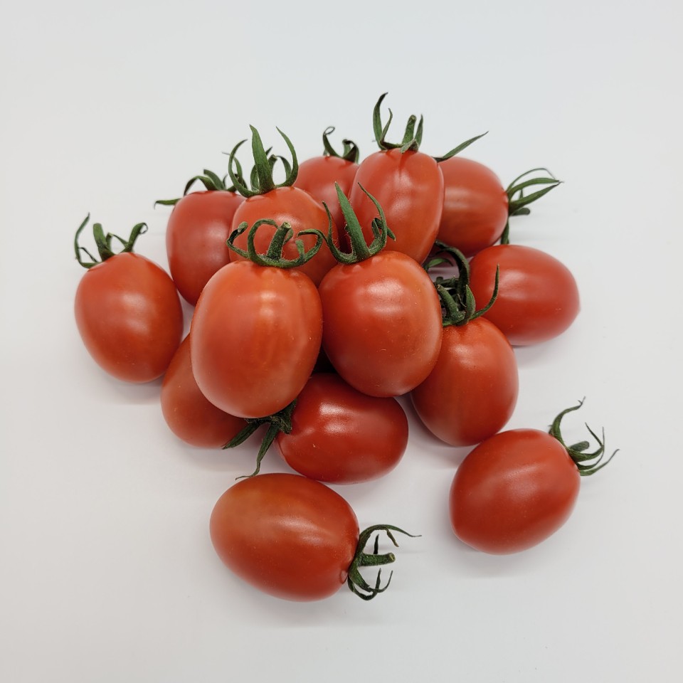 친환경 무농약 대추방울토마토 무농약 대추토마토 장호림 2kg 1kg 농장 이미지 7