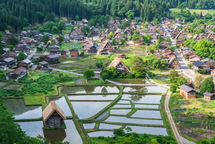 [명물간식특전] 나고야 다카야마 시라카와고 버스투어 히다규카레빵 특전 이미지 4