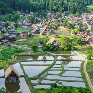 [명물간식특전] 나고야 다카야마 시라카와고 버스투어 히다규카레빵 특전 솔직 후기 | 실사용자 리뷰 분석 - 상품 이미지 4