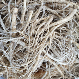 미삼 인삼 잔뿌리 금산인삼 세척 수삼 1채 750g 맛있게 먹은 솔직 후기 - 상품 이미지 3