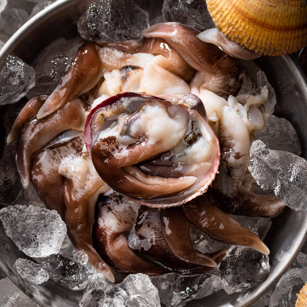 국내산 특품 새조개 500g 손질 샤브샤브 실중량