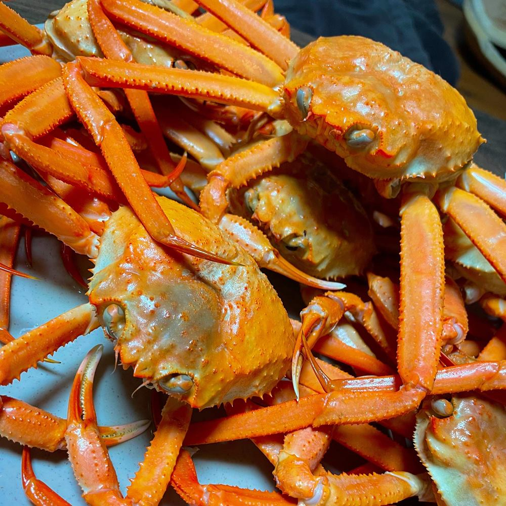 감동수산 포항 구룡포 자숙 홍게 10마리 실속형