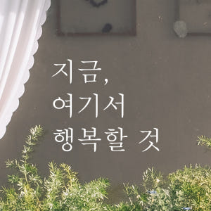 감성 레터링 스티커 좋은 글귀 문구 글자 현관문 창문 카페 데코 포인트 ... 솔직 후기 | 실제 배치 사진 포함 - 상품 이미지 4