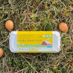 제주 동물복지 무항생제 제주품은 유정란 20구 30구 40구 맛있게 먹은 솔직 후기 - 상품 이미지 4