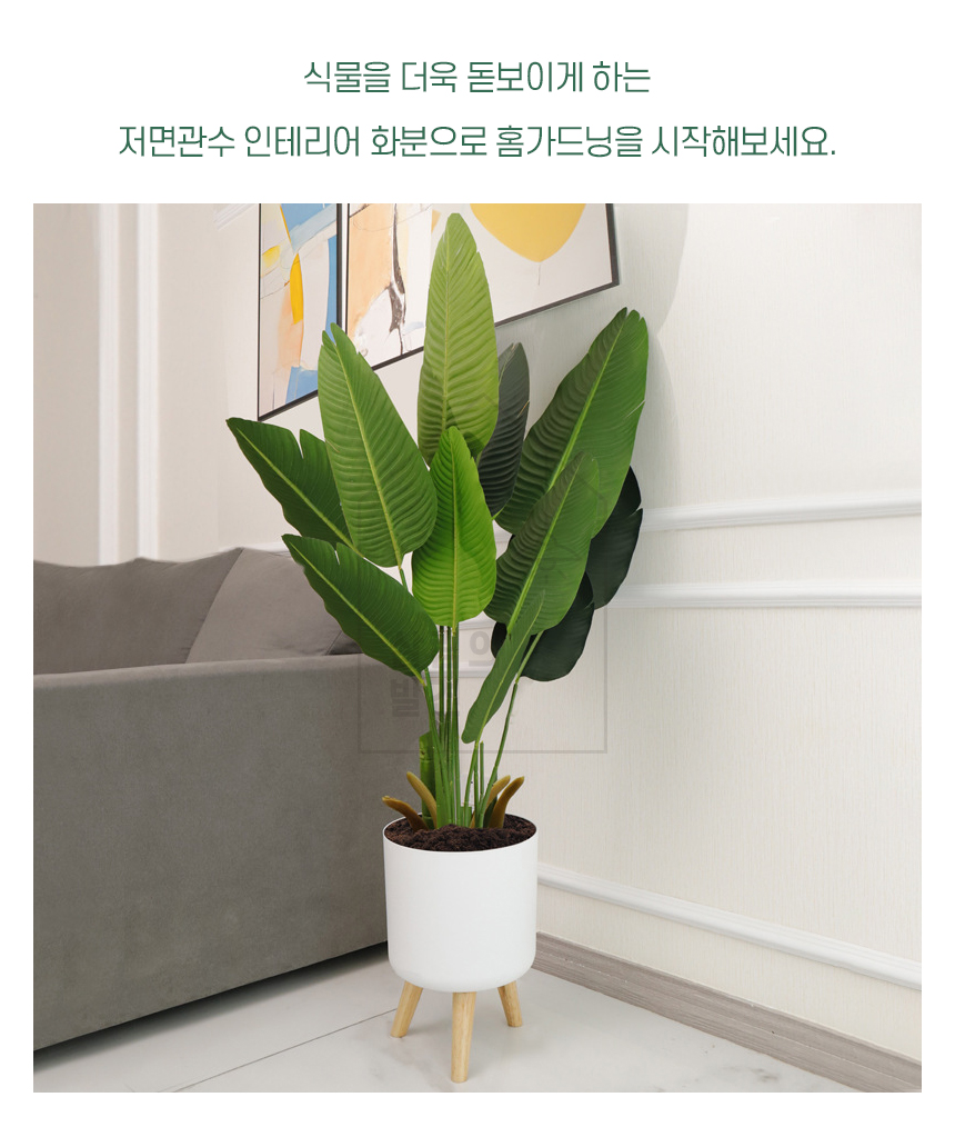 살림의발견 저면관수 플라스틱 인테리어 삼발 화분 상세 이미지 2