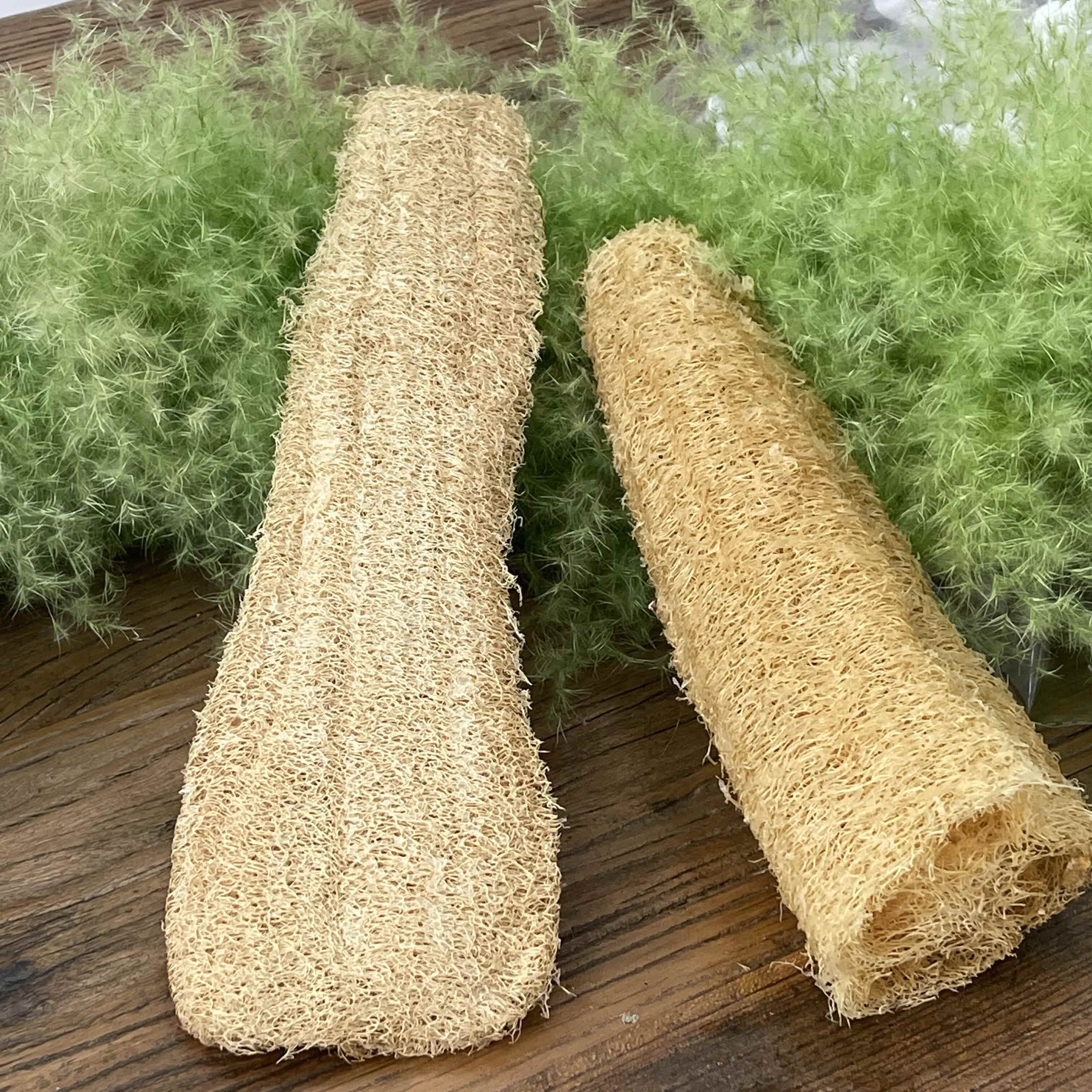 지구오필리아 루파 열매 수세미 주방수세미 30~40cm 이미지 6