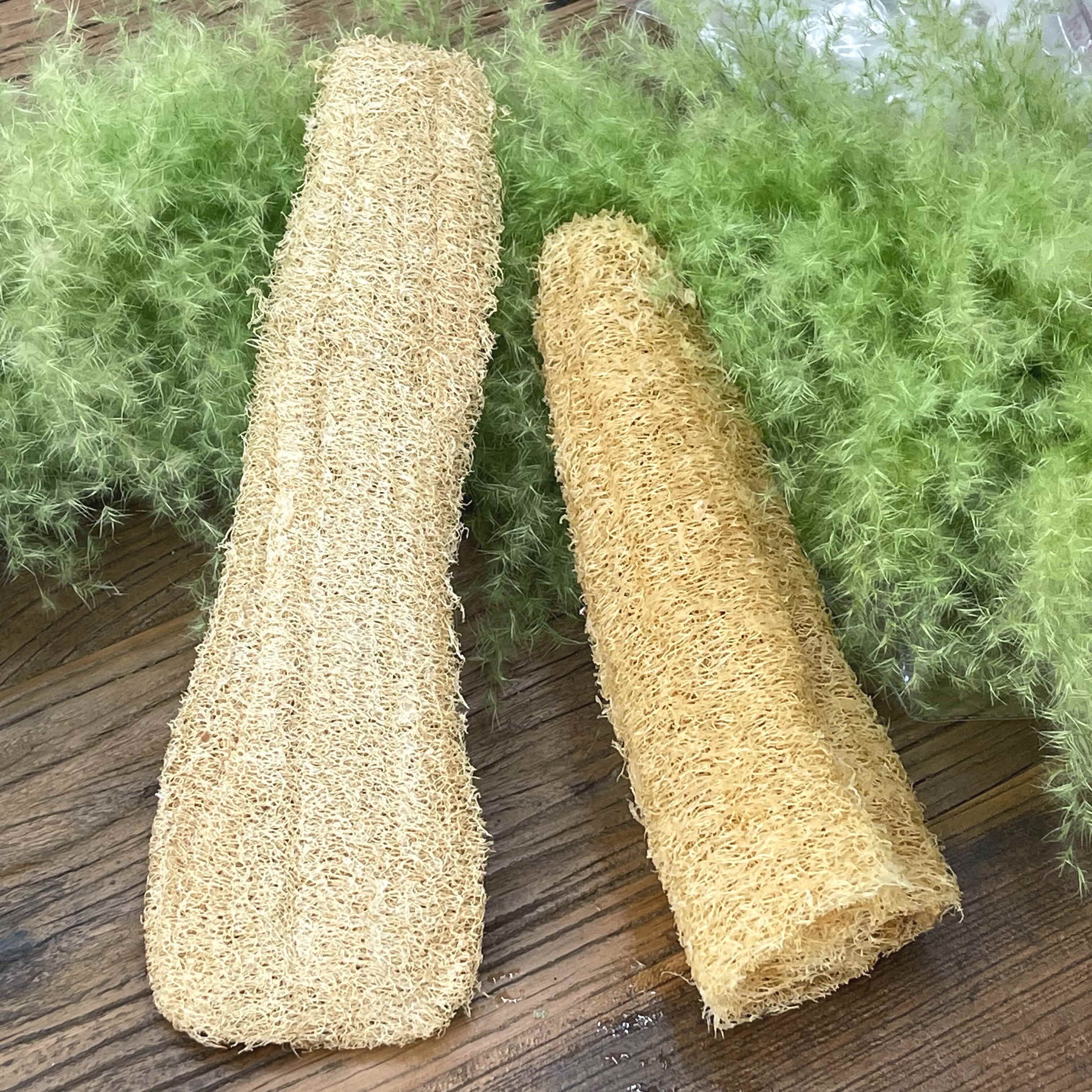 지구오필리아 루파 열매 수세미 주방수세미 30~40cm 이미지 7