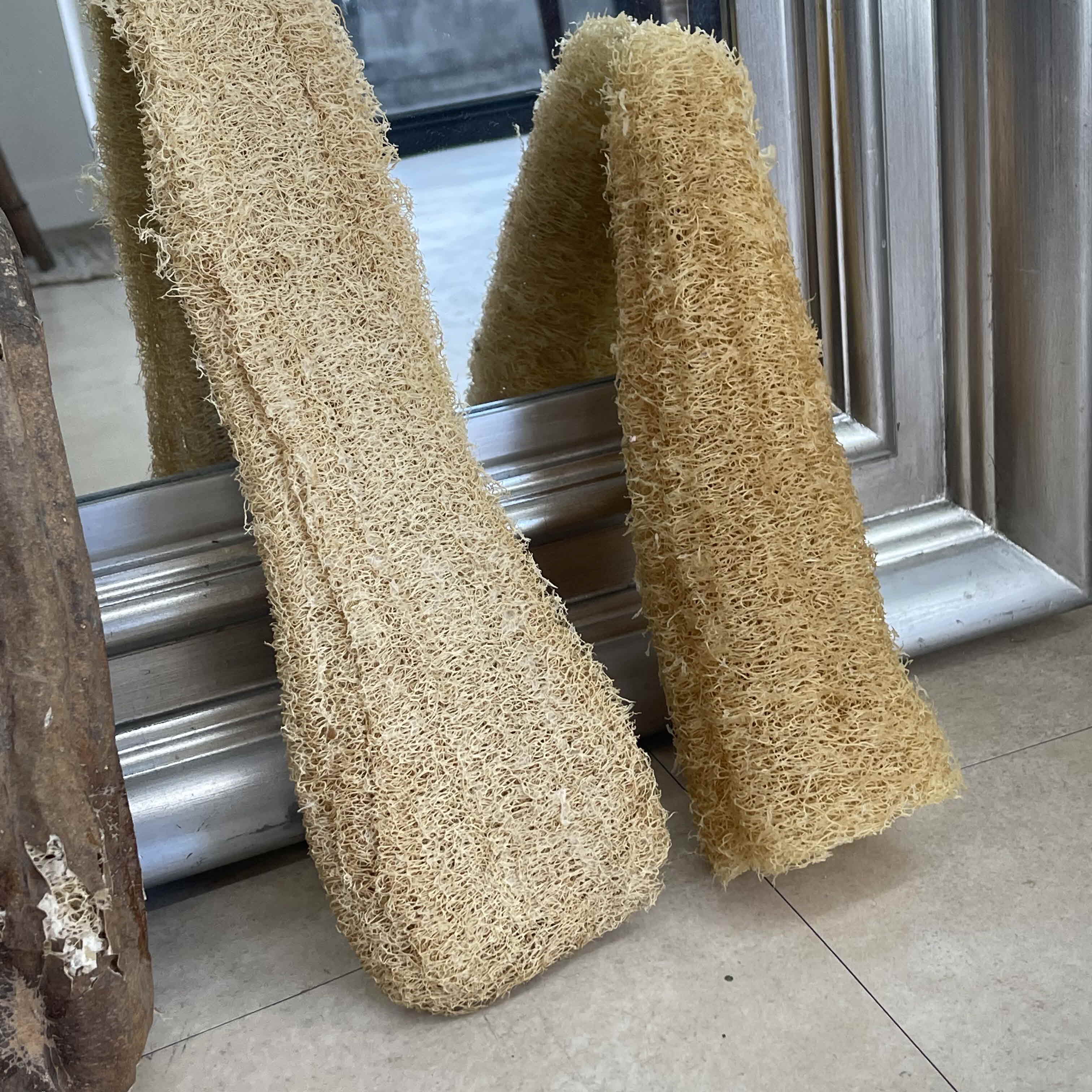 지구오필리아 루파 열매 수세미 주방수세미 30~40cm - 상세 이미지 4