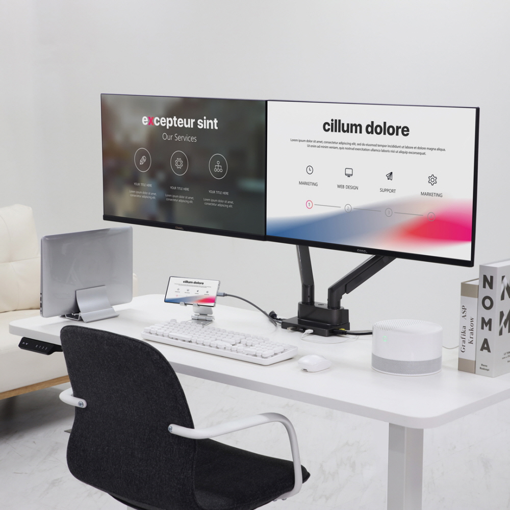 카멜마운트 고든 듀얼 모니터암 거치대 DMA2DDS 그레이색상