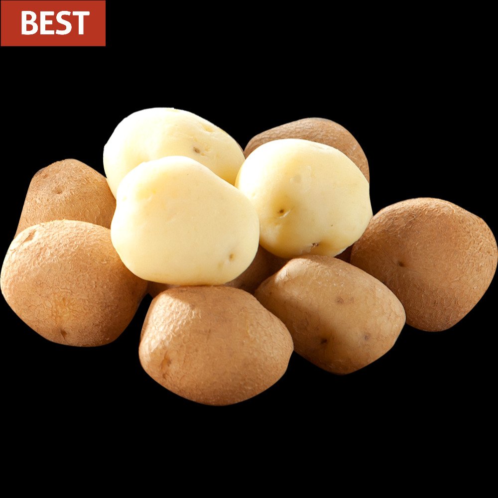 살림파파 국내산 스테비아감자 샤인감자 스감스감 600g