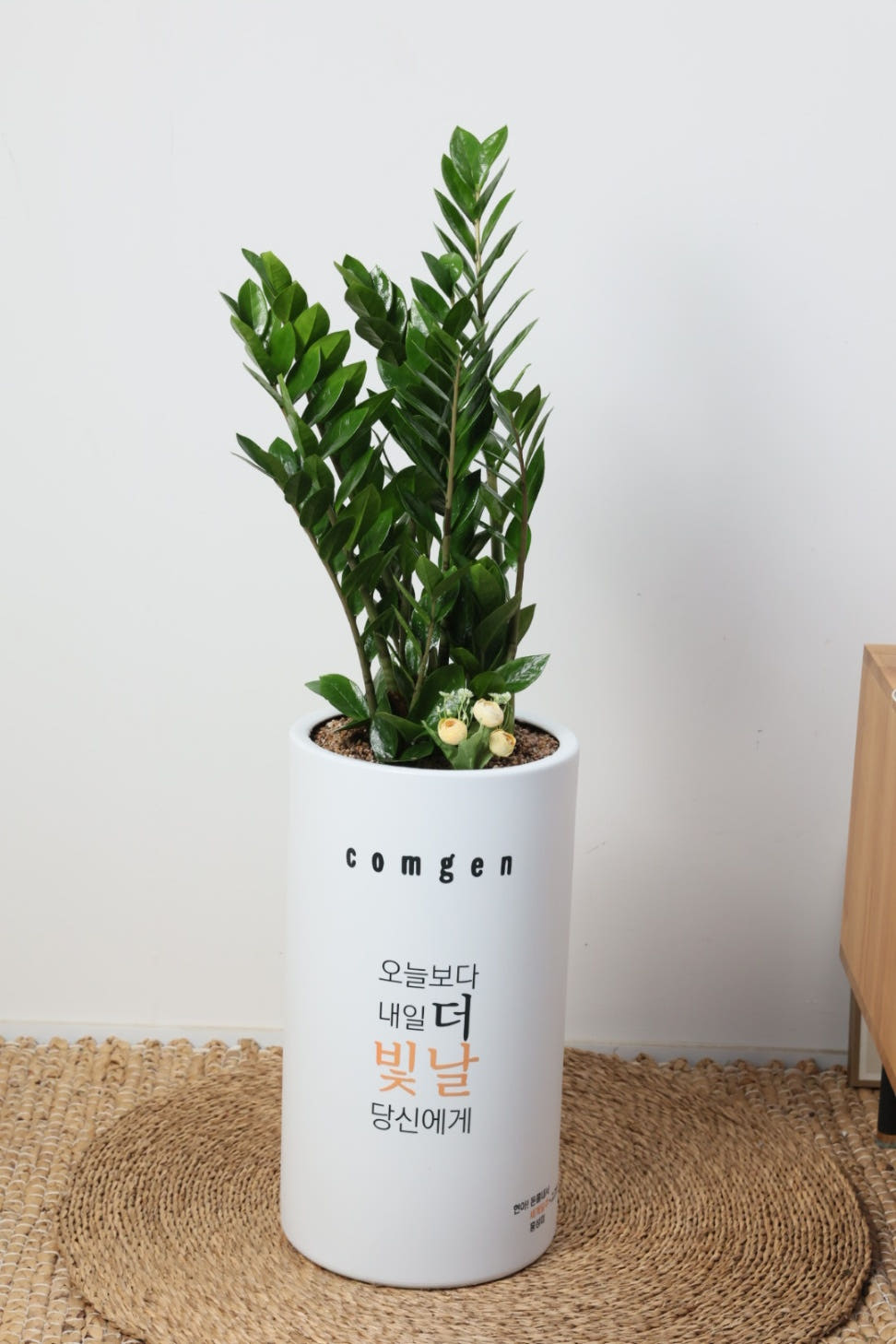 보태드림 오픈기념화분 가게오픈꽃 교장승진선물