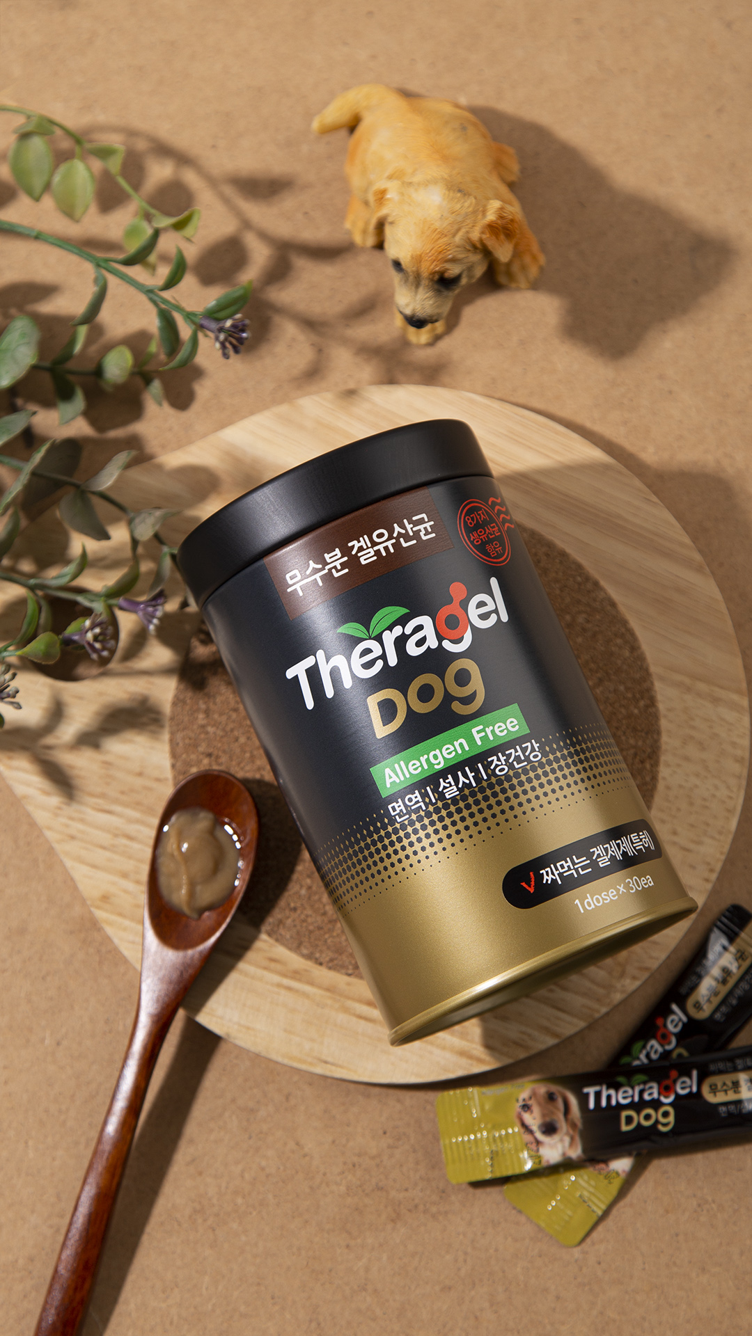 테라겔 유산균30p 강아지설사 면역력 장건강 이미지 6