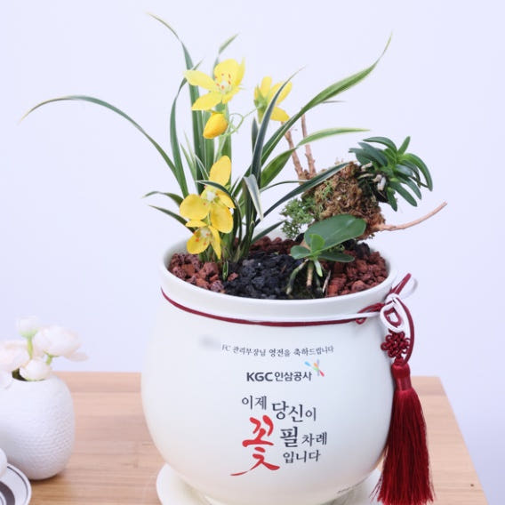 보태드림 병원개원선물 미용실개업화분배달 취임축하난 입사축하