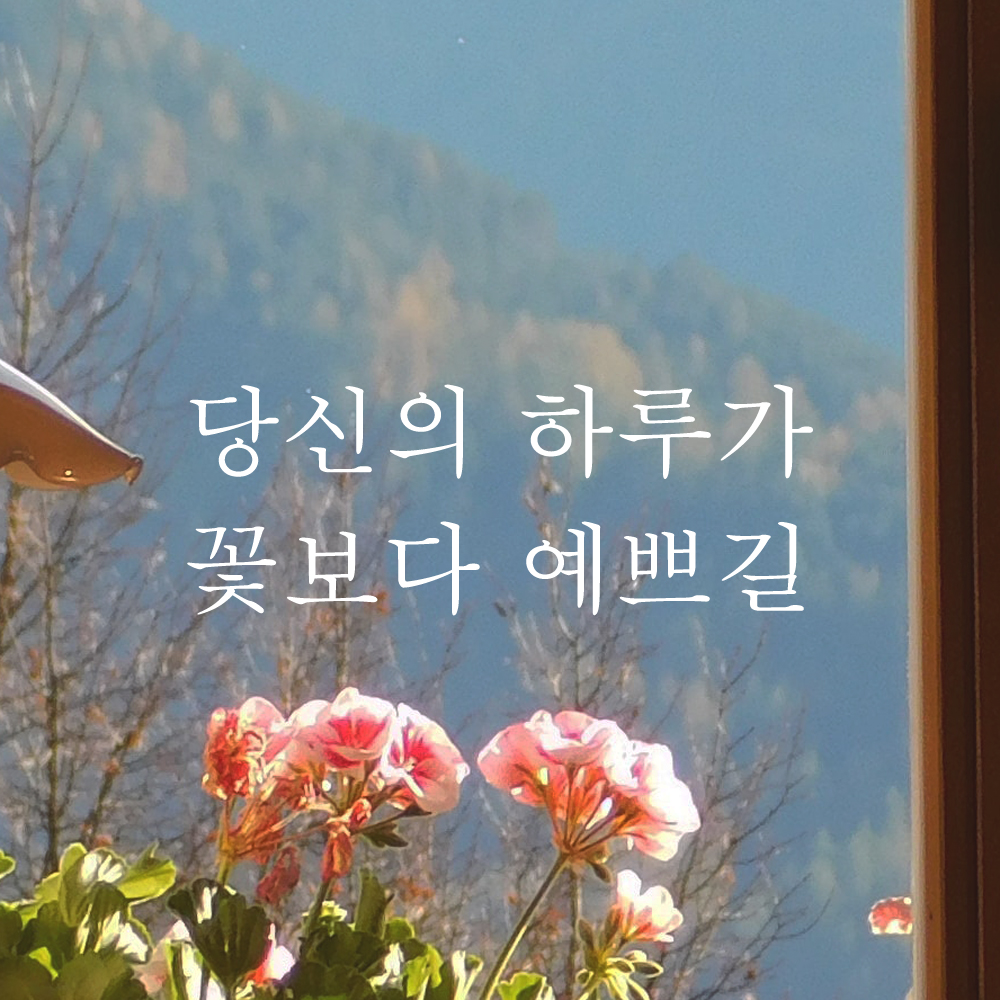 당신의 하루가 꽃보다 예쁘길 레터링 스티커 L-057S검정 - 상품 이미지