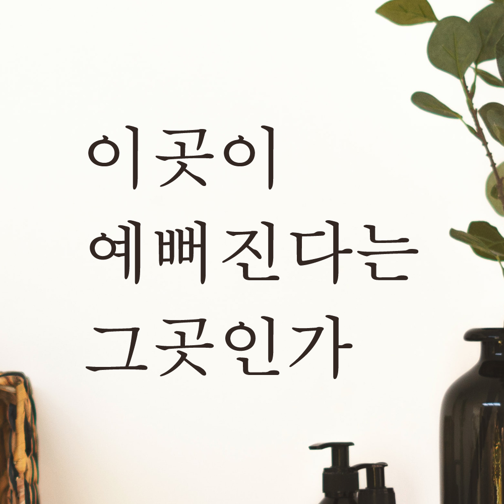 이곳이 예뻐진다는 그곳인가 레터링 스티커 L-059S검정 - 상세 이미지 2