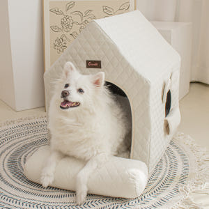 초코펫하우스 사계절 강아지집 에브리데이하우스 3.0 아이보리, 특대형 솔직 후기 | 실제 사용자 리뷰 총정리 - 상품 이미지 3