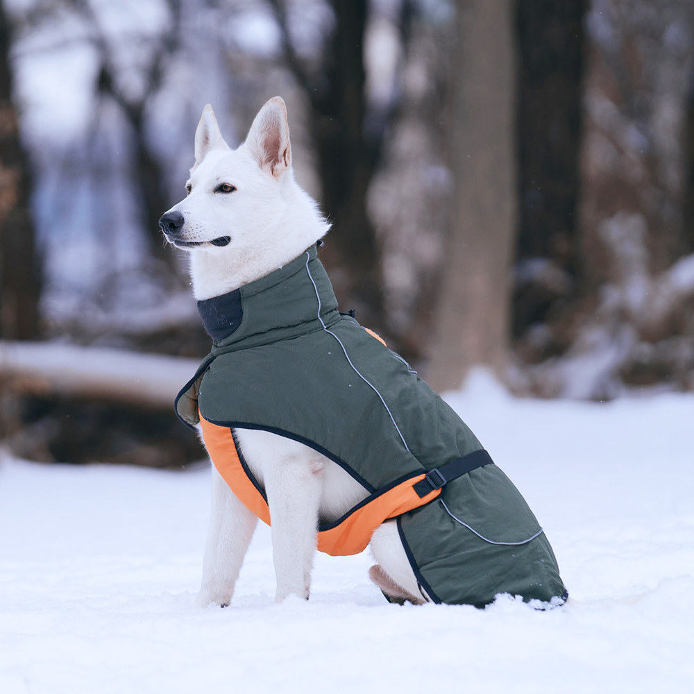 강아지패딩 대형견 패딩 조끼 깔깔이 겨울옷 진돗개 M
