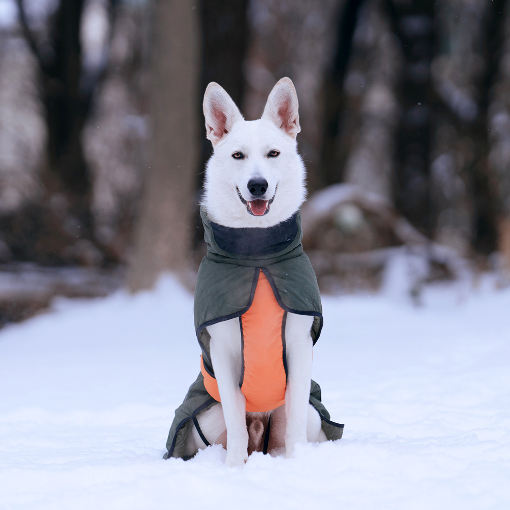 강아지패딩 대형견 패딩 조끼 깔깔이 겨울옷 진돗개 M