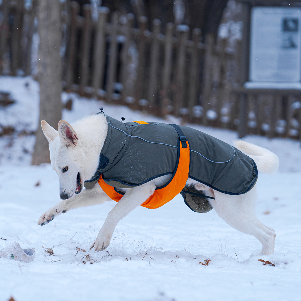 강아지패딩 대형견 패딩 조끼 깔깔이 겨울옷 진돗개 M