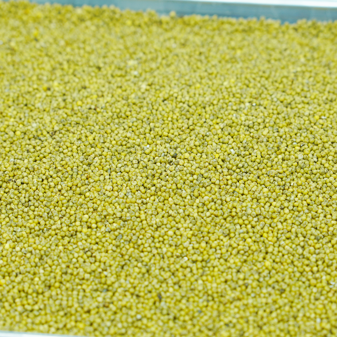 24년산 햇곡 차조 국산 무농약 500g - 상세 이미지 5