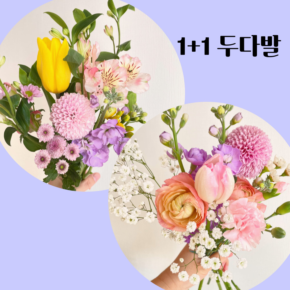생화 꽃다발 1+1 꽃배달 정기배송 정기구독 두다발 싼곳 - 메인 이미지