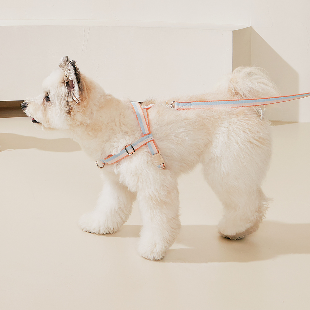 티어라움 강아지 마이데일리 하네스 L형 리드줄 앞고리 앞섬방지 소형견 반려견 초소형 산책 베이비뷰 xs