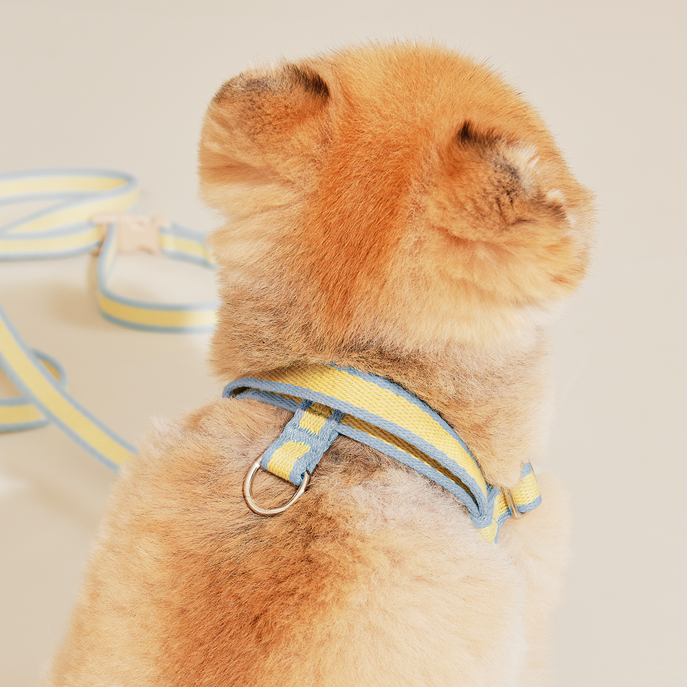 티어라움 강아지 마이데일리 하네스 L형 리드줄 앞고리 앞섬방지 소형견 반려견 초소형 산책 베이비뷰 xs