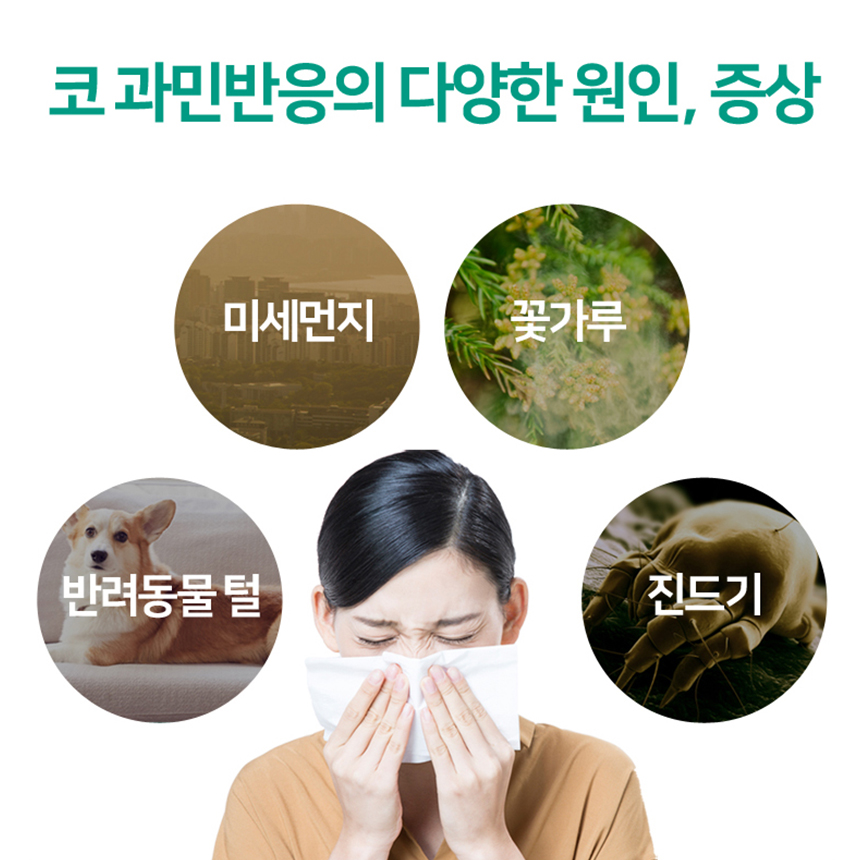 벤스랩 코비그린 3개월분 면역 코 과민반응 개선(콧물 코가려움 재채기 완화) 구아바잎추출물 등 복합물 - 상세 이미지 2