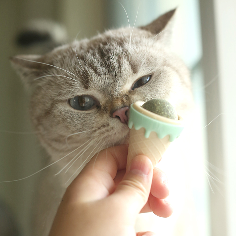 나마스펫 고양이 아이스크림 캣닢볼 장난감 헤어볼 캣잎 사탕 - 메인 이미지