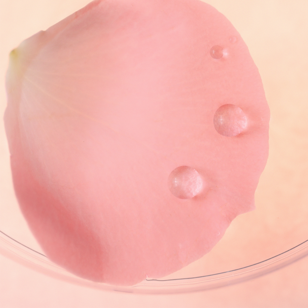 퓨어포레 로즈오또 로즈워터 히알루론산 수분 피부진정 보습 쿨링 저자극 수딩젤 젤 310ml 이미지 7