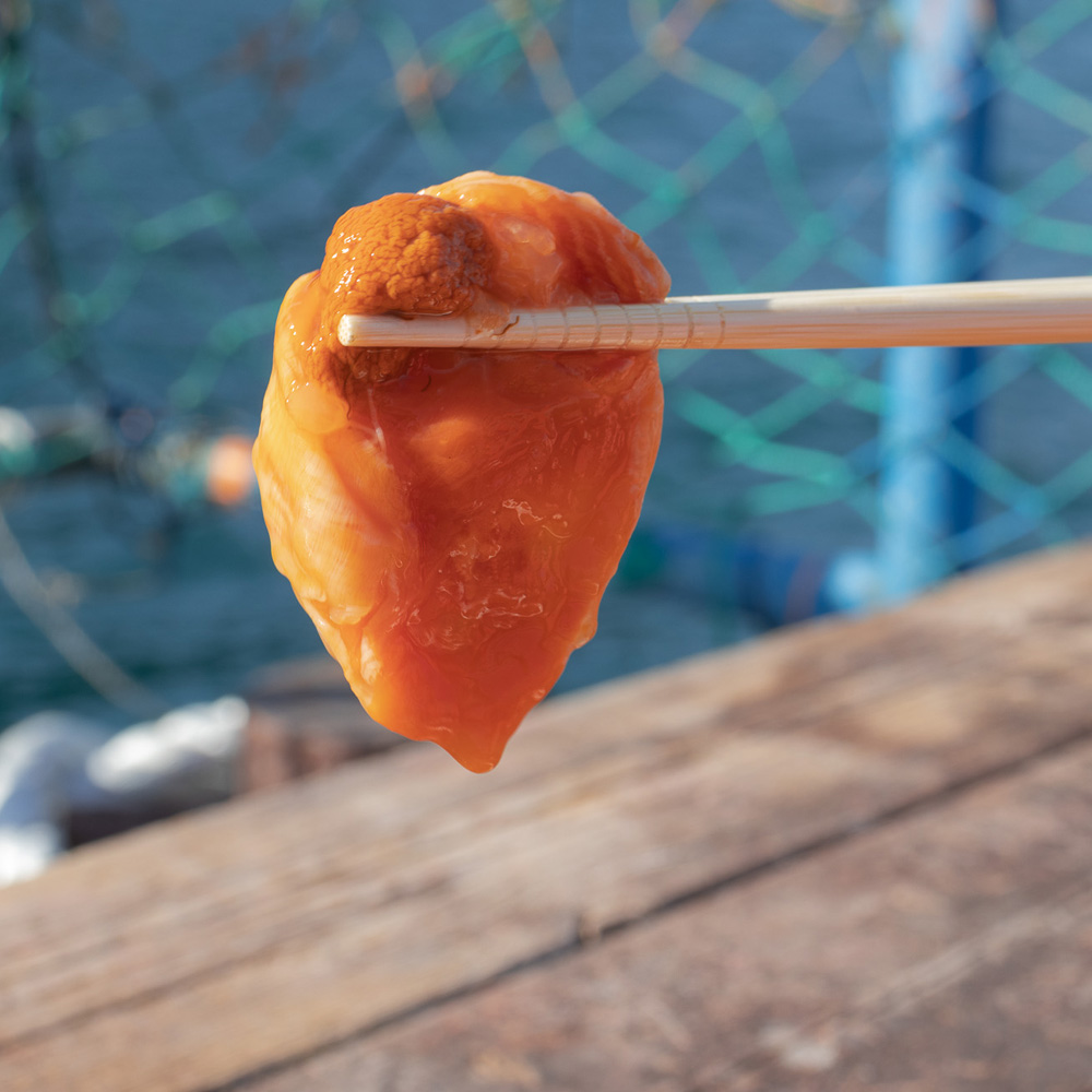 제철 활 멍게 1KG 손질 세척 깐멍게 활멍게 양식장직송 - 상세 이미지 2