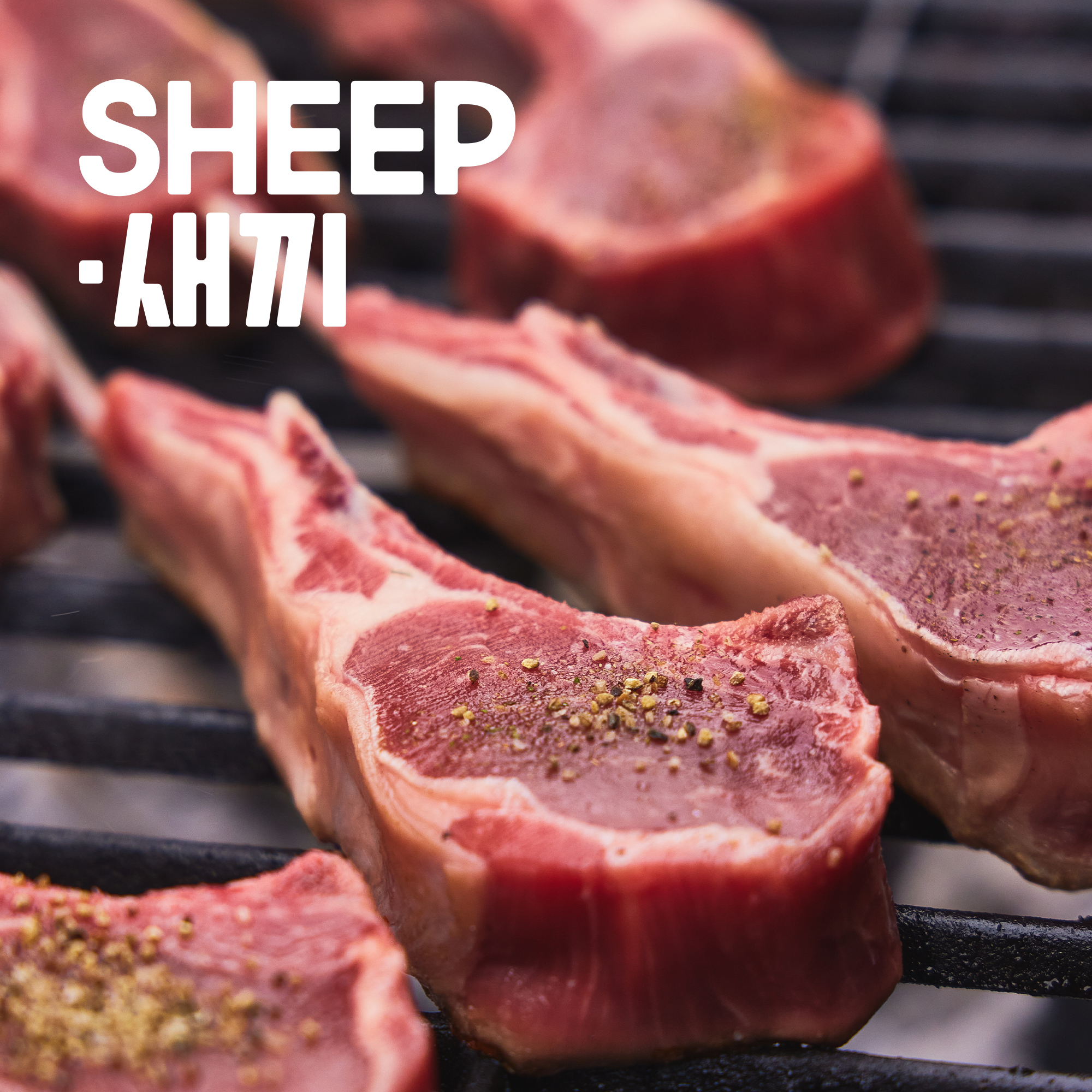 SHEEP새끼 양갈비 모음전 - 프렌치랙, 숄더랙, 큐브양꼬치, 캠핑 파티음식 양고기 스테이크 쉽새끼