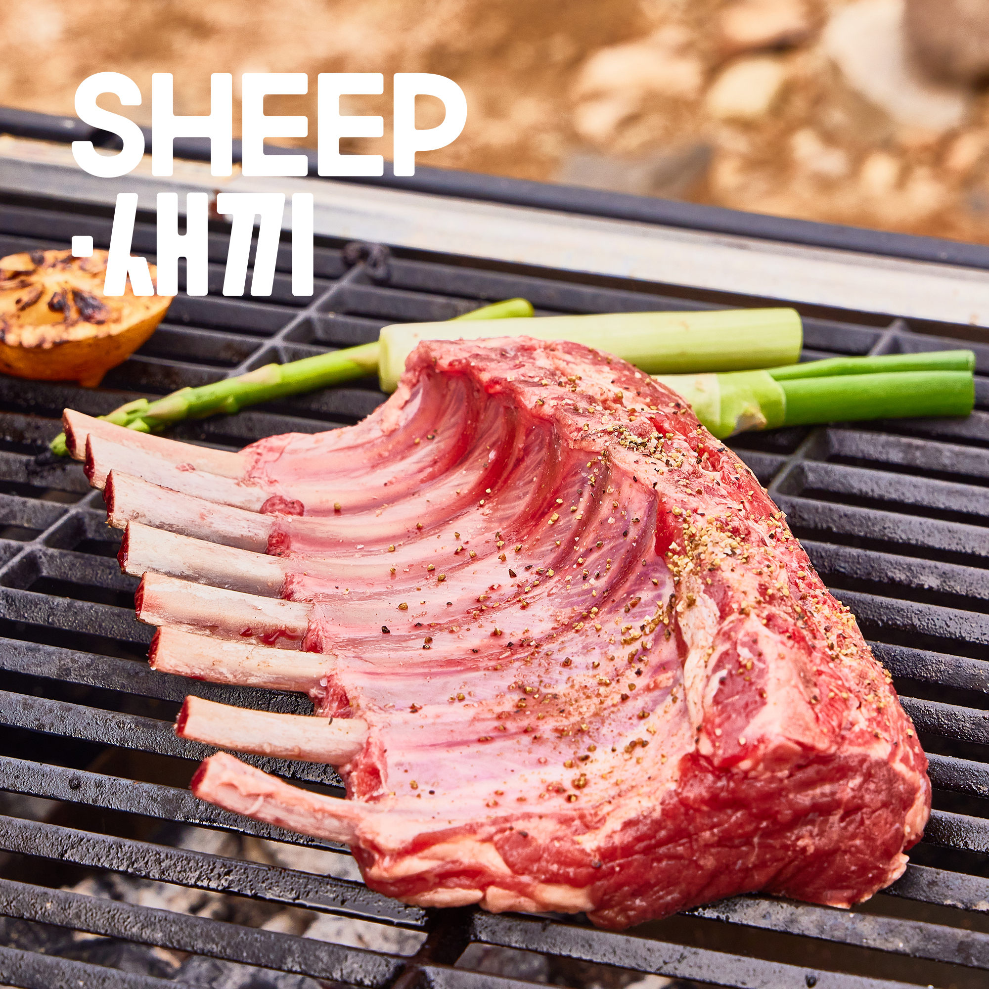 양갈비 통원육(3개월,6개월 숄더랙 프렌치랙 택1)- 양고기 캠핑 토마호크 양갈비 수육 목초육